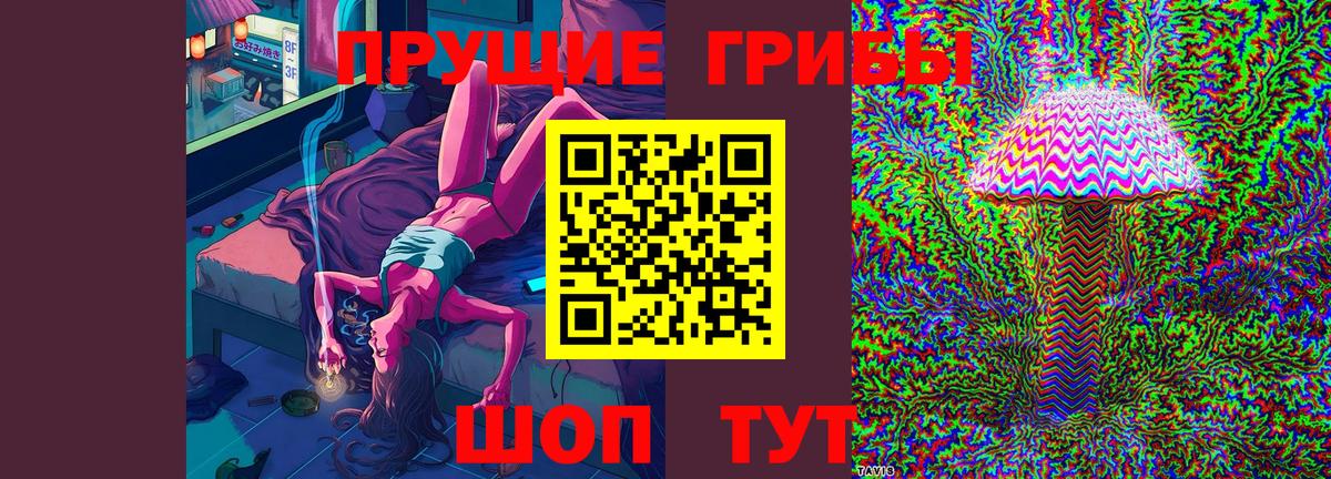 Галлюциногенные грибы GOLDEN TEACHER  Вход с VPN  Псилоцибиновые грибы ЛСД  Кисловодск 