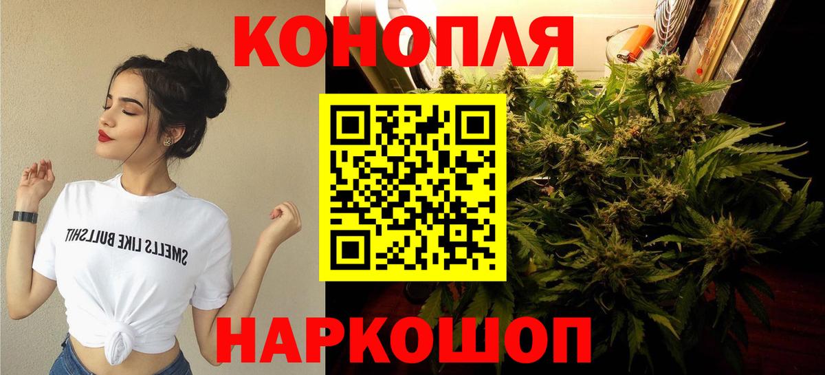 Конопля марихуана Кисловодск