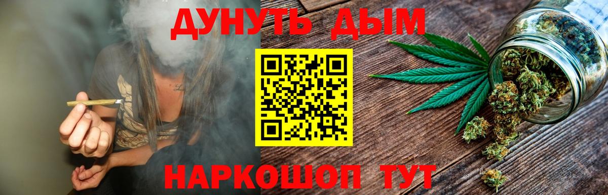 Кисловодск  Марихуана план  Вход с VPN  Бошки Шишки тримм 